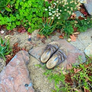 Birkenstock’s (Florida Model)